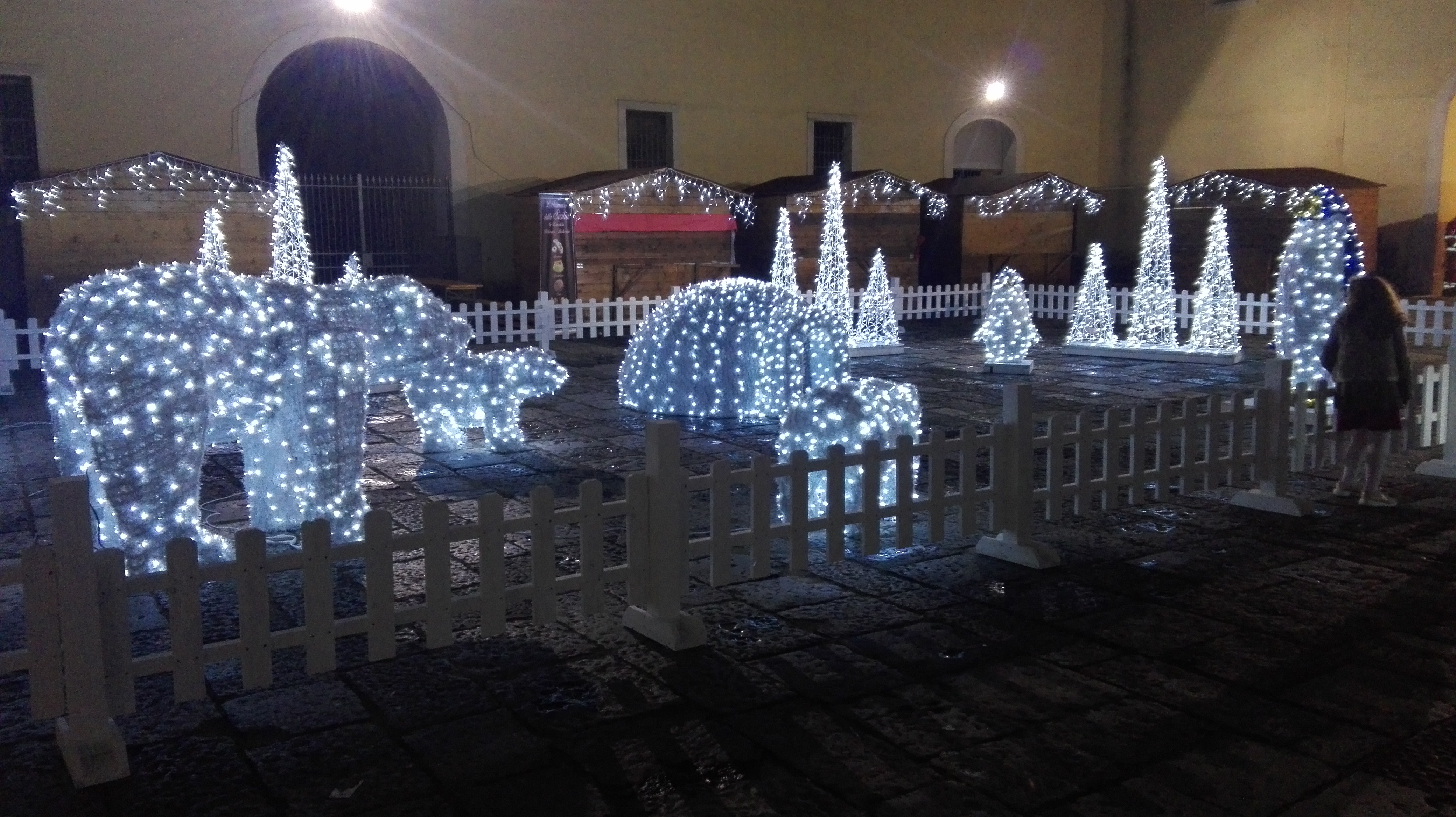 Arctic animals